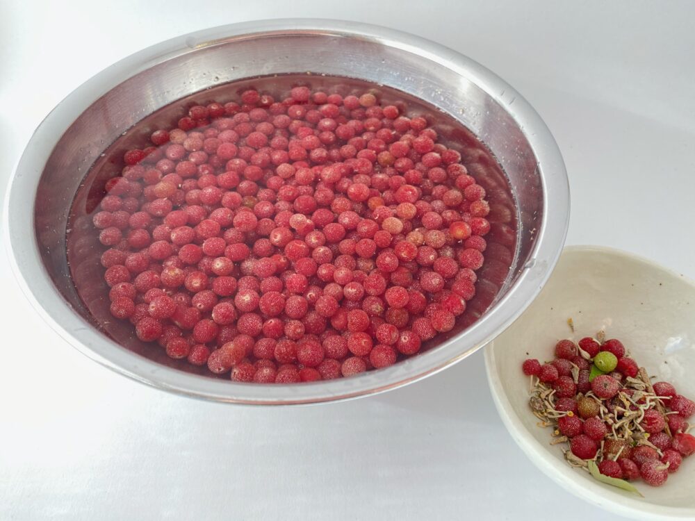 wash & separate autumn berries