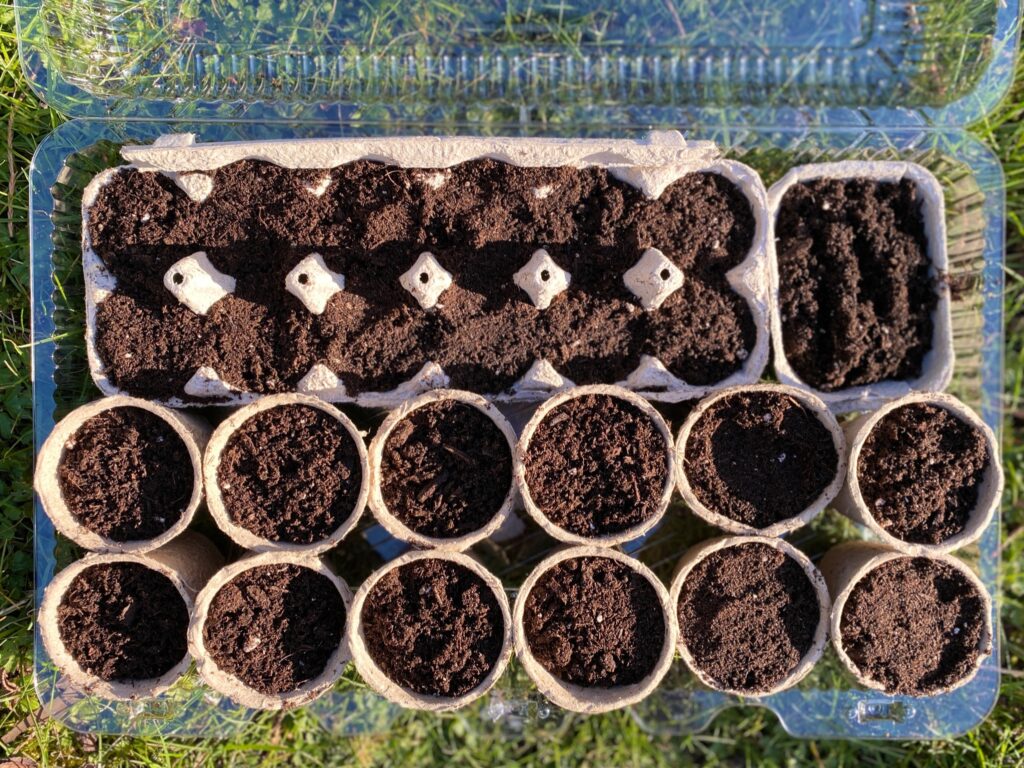 how to make a repurpused seed starter