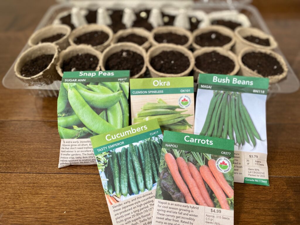 planters in the seed starter kit 
