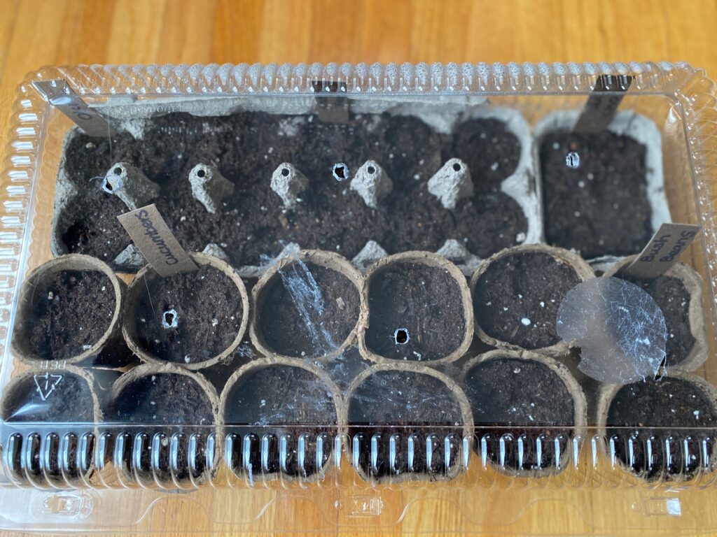 DIY seed starter
